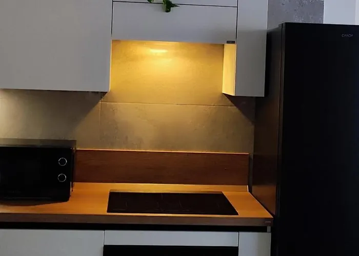 Bauhaus טורינו